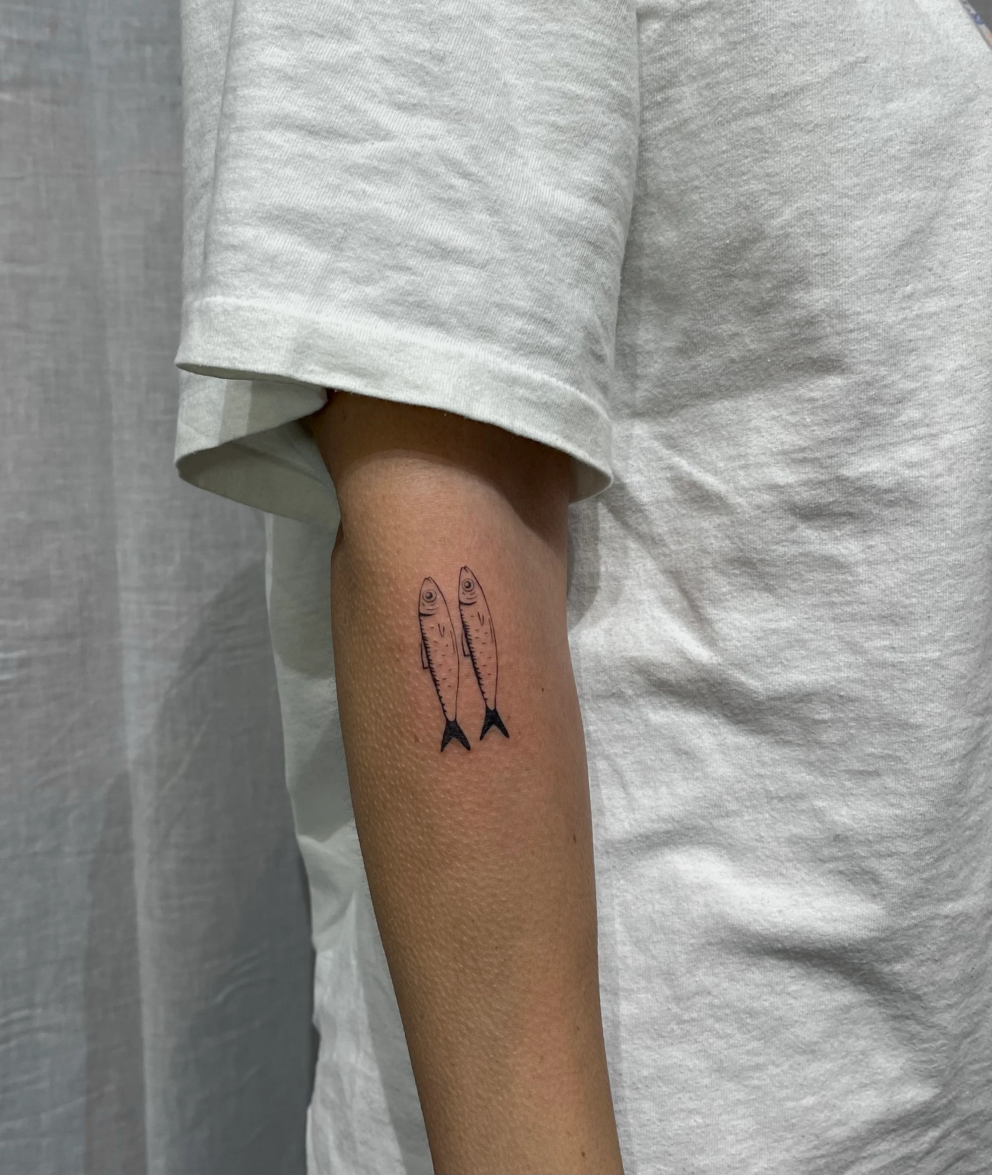 Anna portfolio sardines